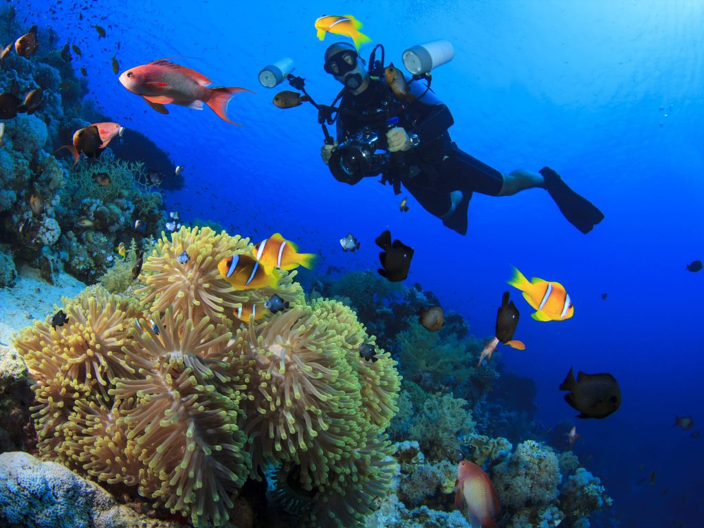 Digital-underwater-photographer-specialite